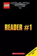 ROBIN TO THE RESCUE!