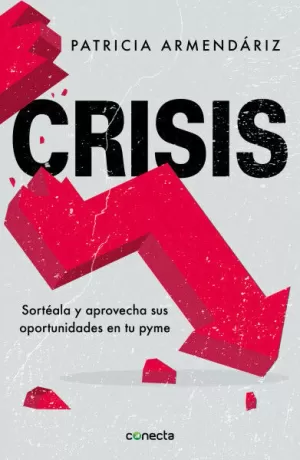 CRISIS.  SORTÉALA Y APROVECHA SUS OPORTUNIDADES EN TUS PYME