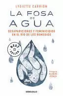 LA FOSA DE AGUA: DESAPARICIONES Y FEMINICIDIOS EN EL RIO DE LOS REMEDIOS / THE W ATER PIT: DISAPPEARANCES AND FEMINICIDE IN THE REMEDIOS RIVER