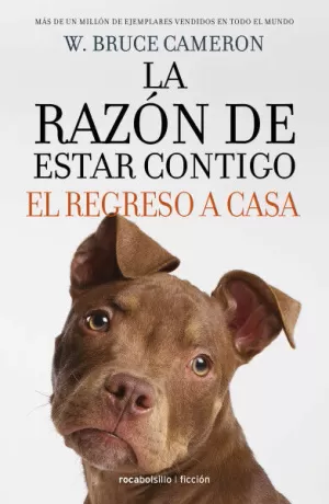LA RAZON DE ESTAR CONTIGO - EL REGRESO A CASA