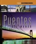PUENTES DEL MUNDO